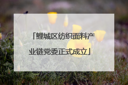 鲤城区纺织面料产业链党委正式成立