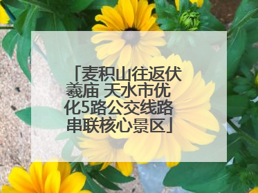麦积山往返伏羲庙 天水市优化5路公交线路串联核心景区