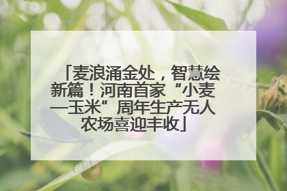 麦浪涌金处，智慧绘新篇！河南首家“小麦—玉米”周年生产无人农场喜迎丰收