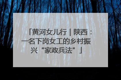黄河女儿行｜陕西：一名下岗女工的乡村振兴“家政兵法”