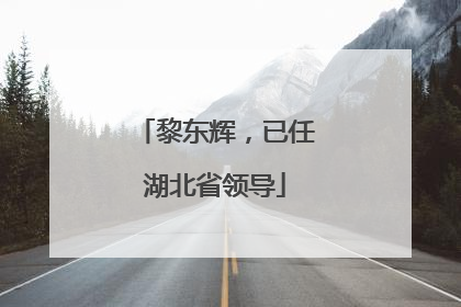 黎东辉，已任湖北省领导