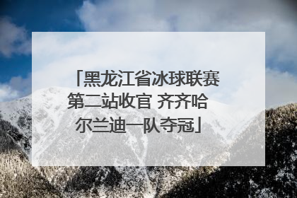 黑龙江省冰球联赛第二站收官 齐齐哈尔兰迪一队夺冠