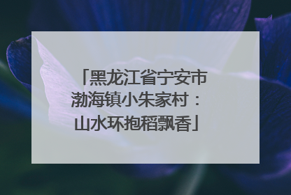 黑龙江省宁安市渤海镇小朱家村：山水环抱稻飘香