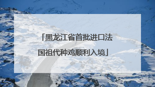 黑龙江省首批进口法国祖代种鸡顺利入境