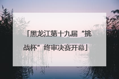 黑龙江第十九届“挑战杯”终审决赛开幕