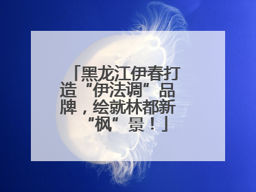 黑龙江伊春打造“伊法调”品牌，绘就林都新“枫”景！