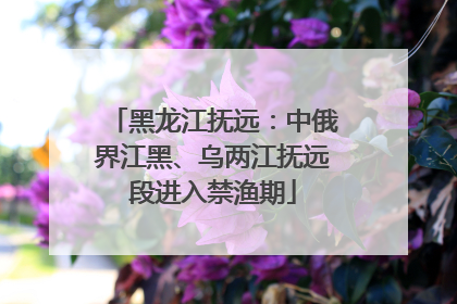 黑龙江抚远：中俄界江黑、乌两江抚远段进入禁渔期
