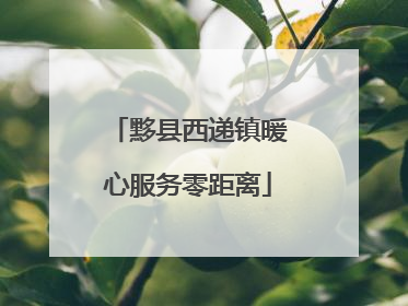 黟县西递镇暖心服务零距离