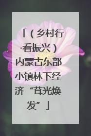 （乡村行·看振兴）内蒙古东部小镇林下经济“茸光焕发”