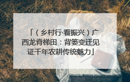 （乡村行·看振兴）广西龙脊梯田：背篓变迁见证千年农耕传统魅力