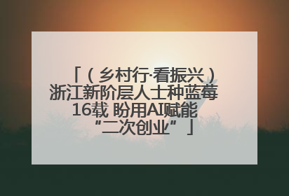 （乡村行·看振兴）浙江新阶层人士种蓝莓16载 盼用AI赋能“二次创业”