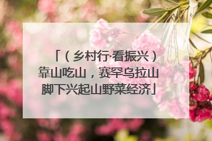 （乡村行·看振兴）靠山吃山，赛罕乌拉山脚下兴起山野菜经济