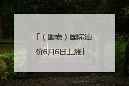 （图表）国际油价6月6日上涨