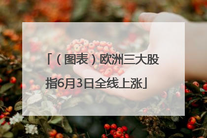 （图表）欧洲三大股指6月3日全线上涨