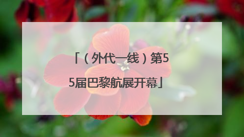 （外代一线）第55届巴黎航展开幕