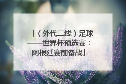 （外代二线）足球——世界杯预选赛：阿根廷赛前备战