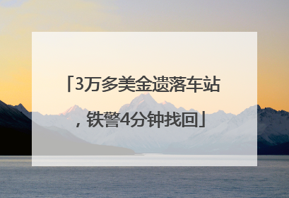 3万多美金遗落车站，铁警4分钟找回