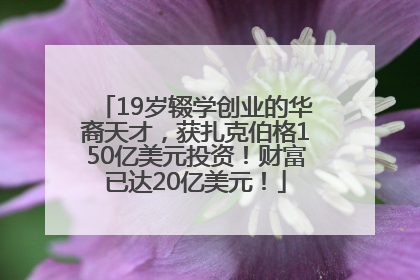 19岁辍学创业的华裔天才，获扎克伯格150亿美元投资！财富已达20亿美元！