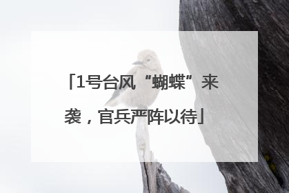 1号台风“蝴蝶”来袭，官兵严阵以待