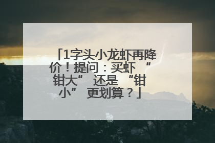 1字头小龙虾再降价！提问：买虾 “钳大” 还是 “钳小” 更划算？