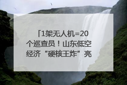 1架无人机=20个巡查员！山东低空经济“硬核王炸”亮相青岛，下一个万亿赛道藏在这里