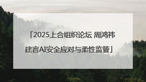 2025上合组织论坛 周鸿祎建言AI安全应对与柔性监管