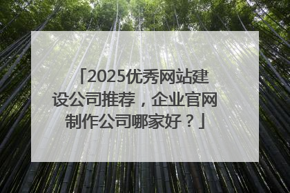 2025优秀网站建设公司推荐，企业官网制作公司哪家好？