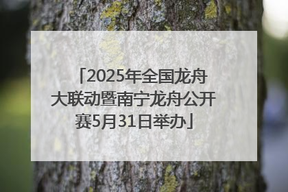 2025年全国龙舟大联动暨南宁龙舟公开赛5月31日举办