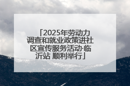 2025年劳动力调查和就业政策进社区宣传服务活动·临沂站 顺利举行