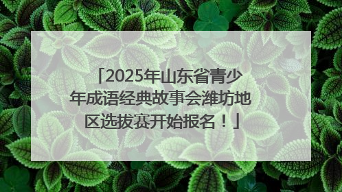 2025年山东省青少年成语经典故事会潍坊地区选拔赛开始报名！