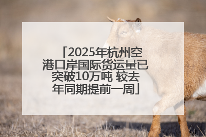 2025年杭州空港口岸国际货运量已突破10万吨 较去年同期提前一周