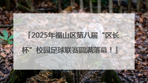 2025年福山区第八届“区长杯”校园足球联赛圆满落幕！
