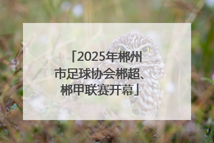 2025年郴州市足球协会郴超、郴甲联赛开幕