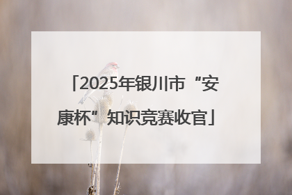 2025年银川市“安康杯”知识竞赛收官