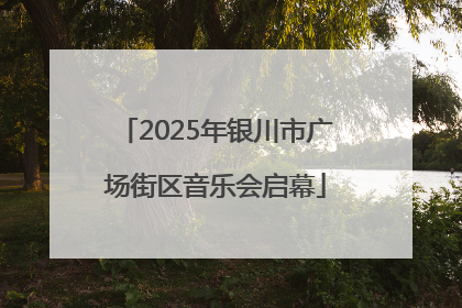 2025年银川市广场街区音乐会启幕