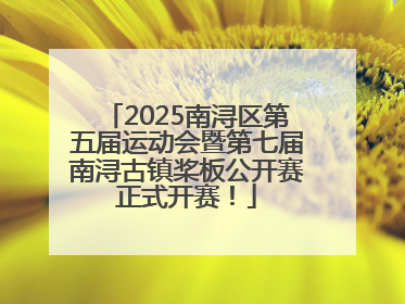 2025南浔区第五届运动会暨第七届南浔古镇桨板公开赛正式开赛！