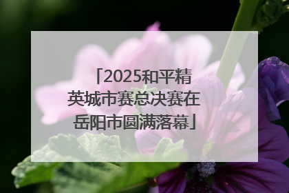 2025和平精英城市赛总决赛在岳阳市圆满落幕