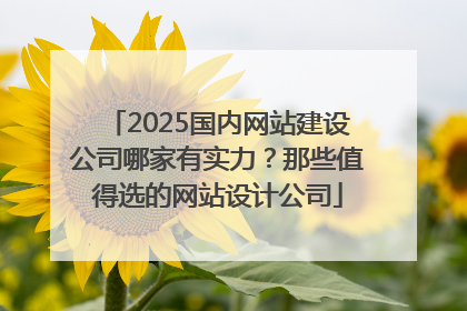 2025国内网站建设公司哪家有实力？那些值得选的网站设计公司