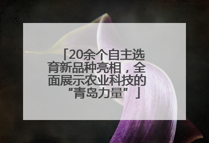 20余个自主选育新品种亮相，全面展示农业科技的“青岛力量”