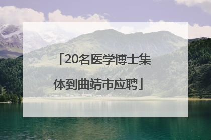 20名医学博士集体到曲靖市应聘
