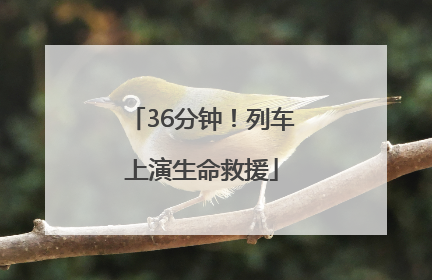 36分钟！列车上演生命救援