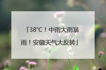 38℃！中雨大雨暴雨！安徽天气大反转