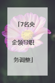 7名央企领导职务调整