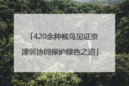 420余种候鸟见证京津冀协同保护绿色之道