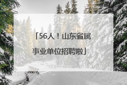56人!山东省属事业单位招聘啦