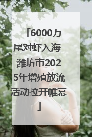 6000万尾对虾入海 潍坊市2025年增殖放流活动拉开帷幕