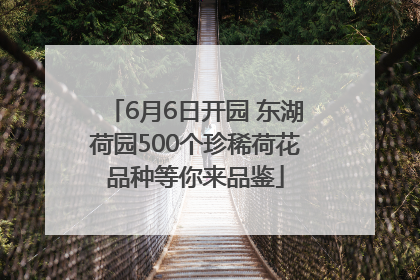 6月6日开园 东湖荷园500个珍稀荷花品种等你来品鉴
