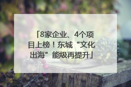 8家企业、4个项目上榜！东城“文化出海”能级再提升