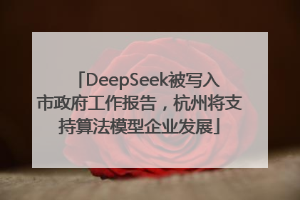 DeepSeek被写入市政府工作报告，杭州将支持算法模型企业发展